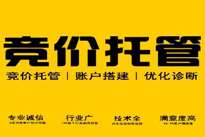 某企业SEM推广策略的调整与效果提升